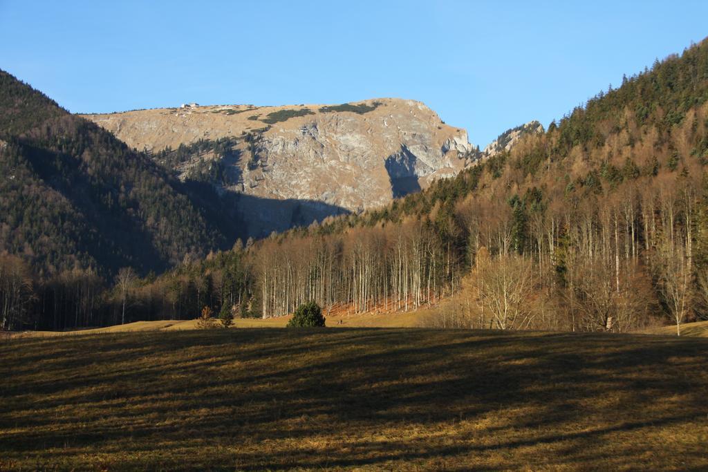 Haus Seeschwalbe Saint Wolfgang Buitenkant foto